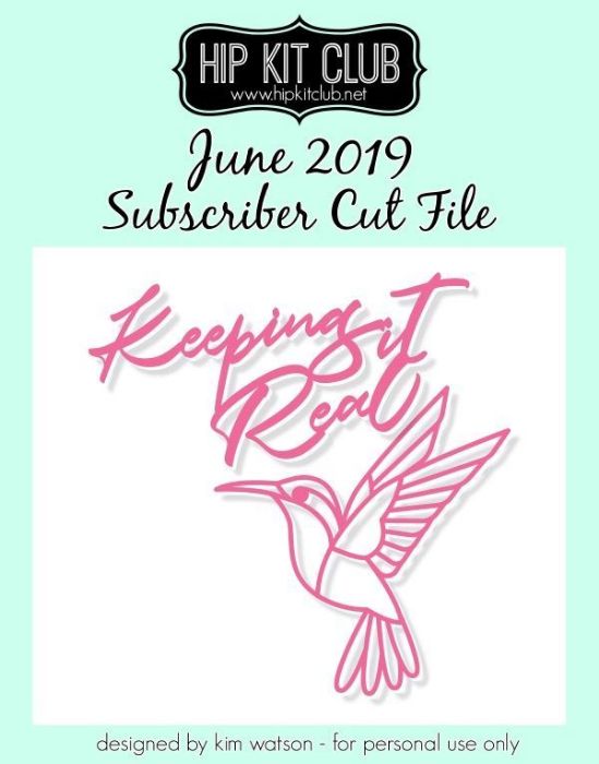 June 2019 - Kim Watson - Hummingbird - Silhouette Cricut